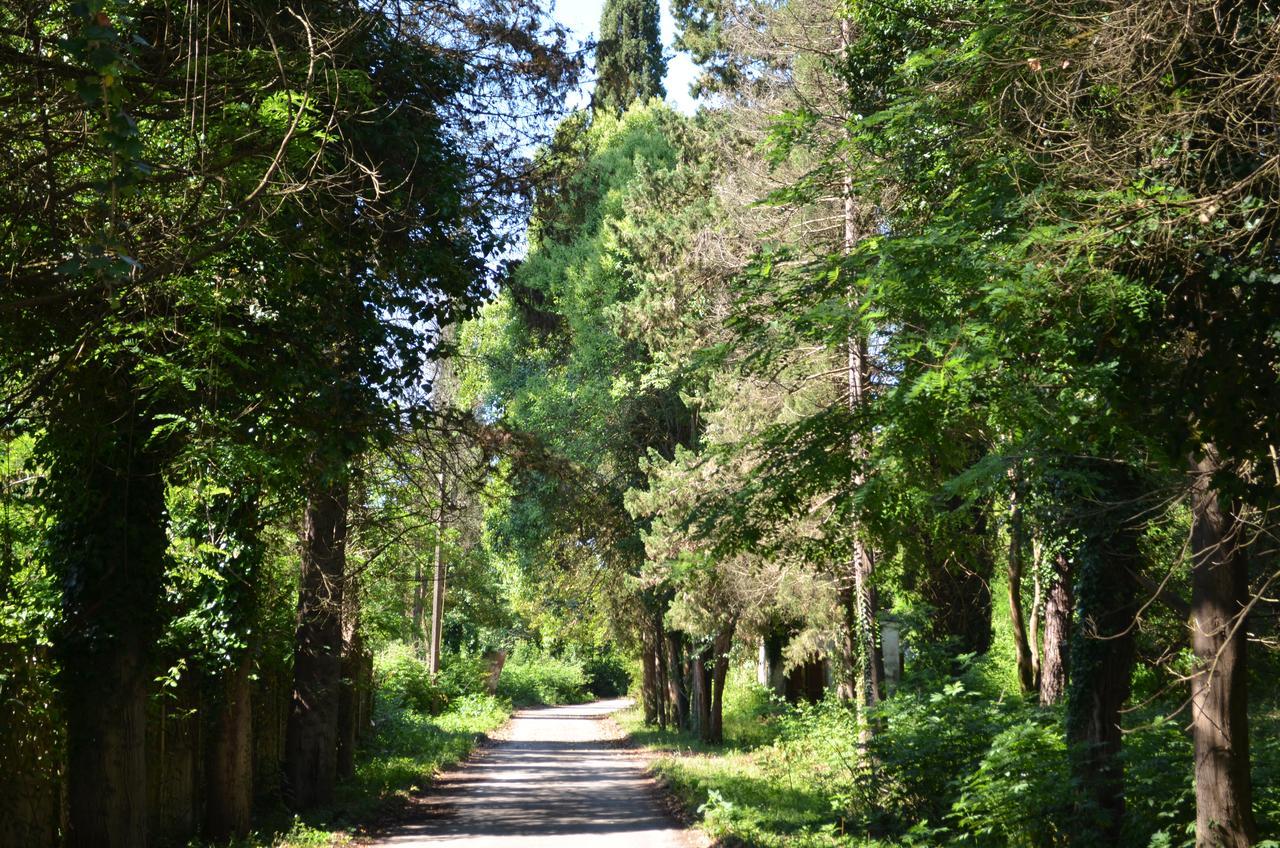 Solnechny Bereg Guest House Gudauta Luaran gambar