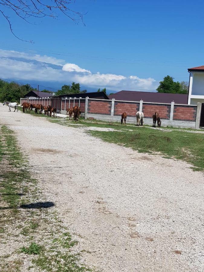 Solnechny Bereg Guest House Gudauta Luaran gambar
