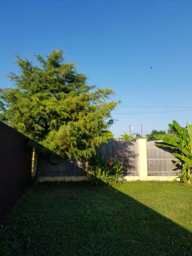 Solnechny Bereg Guest House Gudauta Luaran gambar